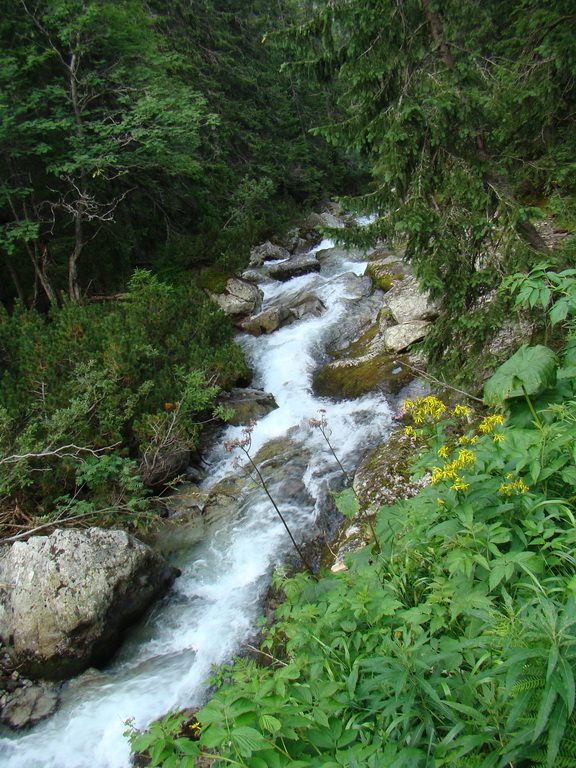 Vyšné Kopské sedlo Monkovou dolinou (Belianske Tatry)