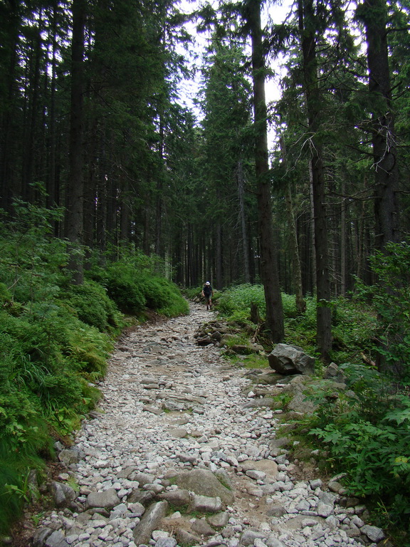 Vyšné Kopské sedlo Monkovou dolinou (Belianske Tatry)