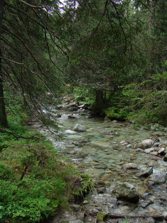 Vyšné Kopské sedlo Monkovou dolinou (Belianske Tatry)