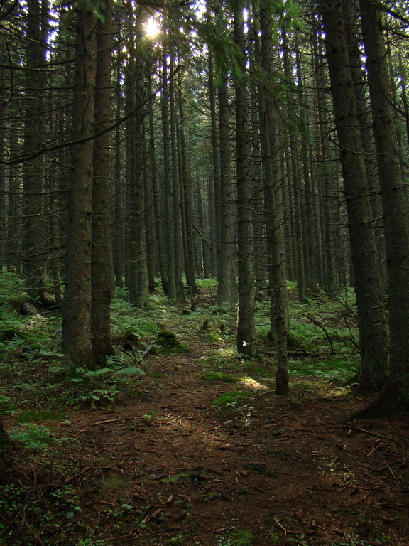 Vyšné Kopské sedlo Monkovou dolinou (Belianske Tatry)