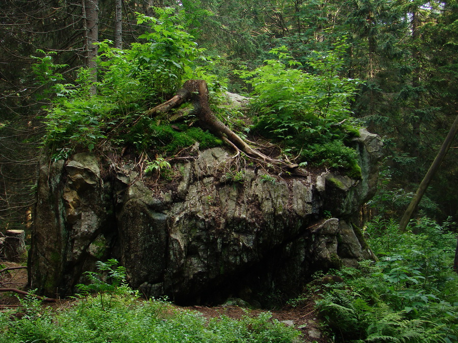 Vyšné Kopské sedlo Monkovou dolinou (Belianske Tatry)