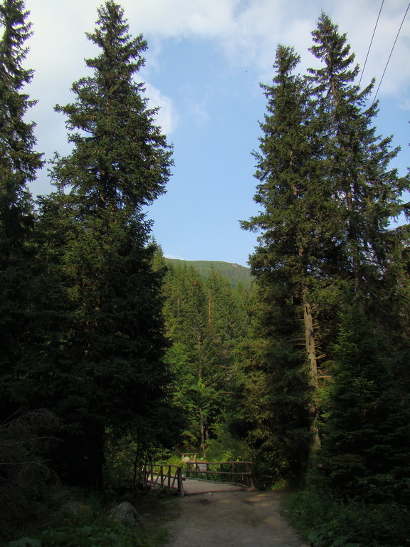 Vyšné Kopské sedlo Monkovou dolinou (Belianske Tatry)