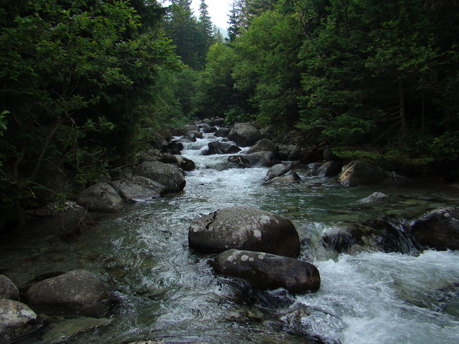 Vyšné Kopské sedlo Monkovou dolinou (Belianske Tatry)