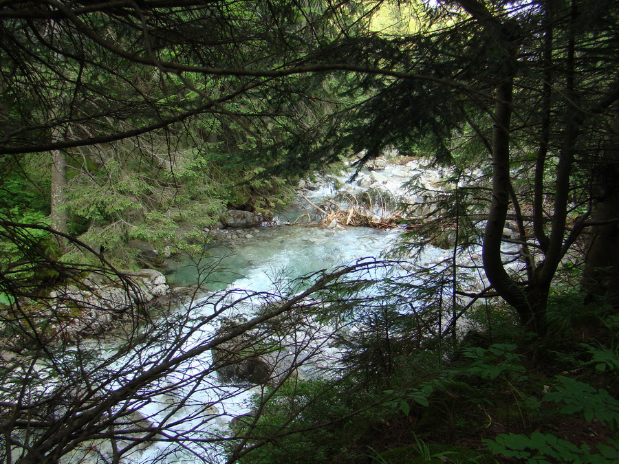 Vyšné Kopské sedlo Monkovou dolinou (Belianske Tatry)