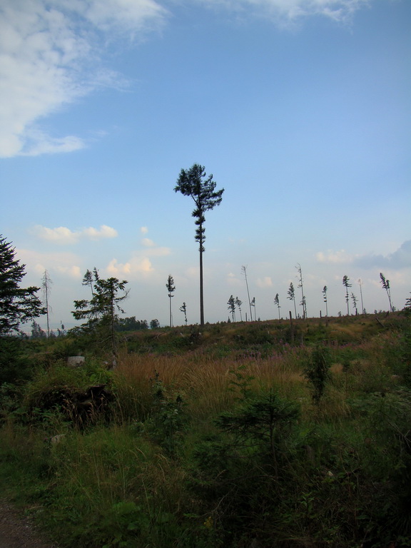 Vyšné Kopské sedlo Monkovou dolinou (Belianske Tatry)