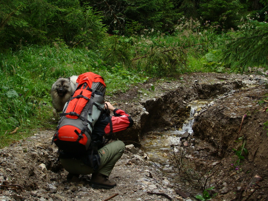 Z Kriviana na Pusté pole (Nízke Tatry)