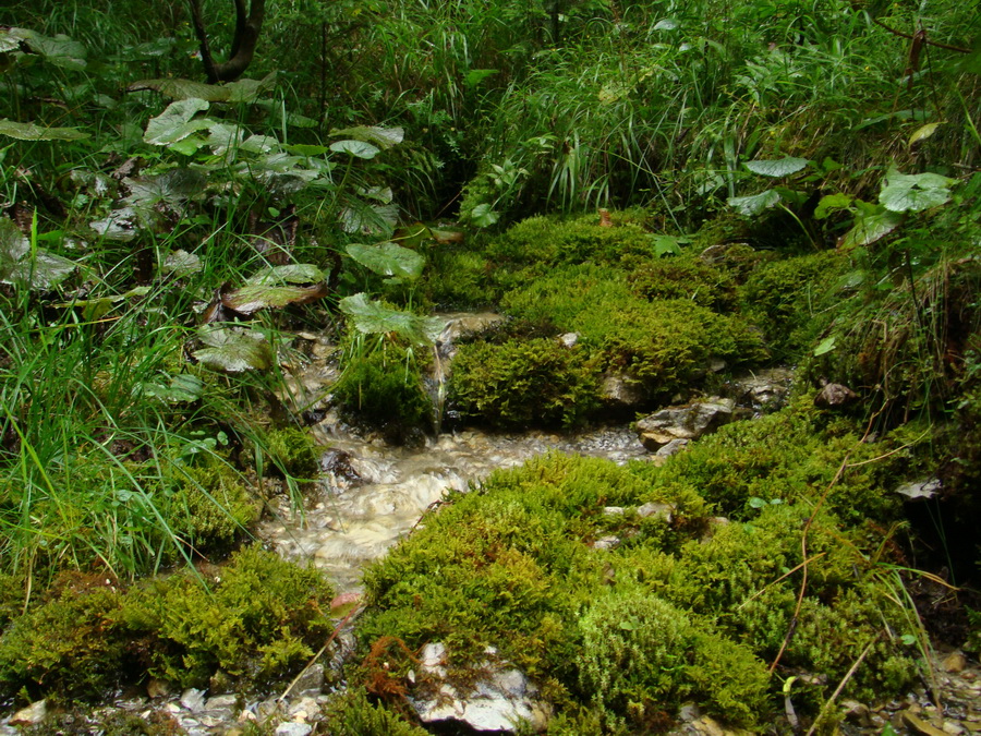 Z Kriviana na Pusté pole (Nízke Tatry)