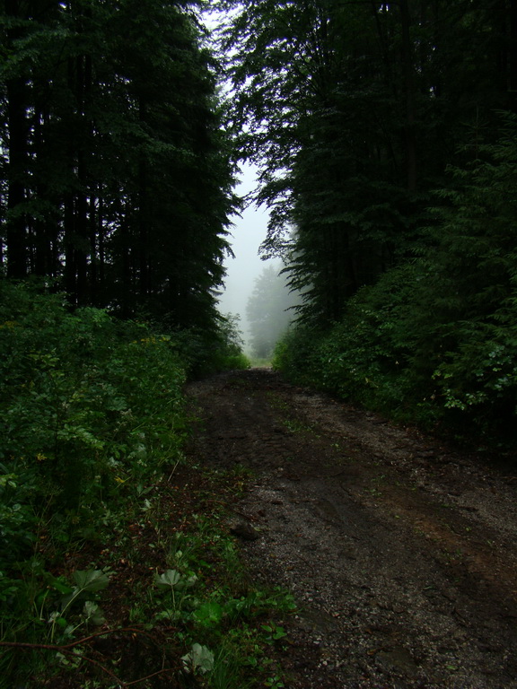 Z Kriviana na Pusté pole (Nízke Tatry)