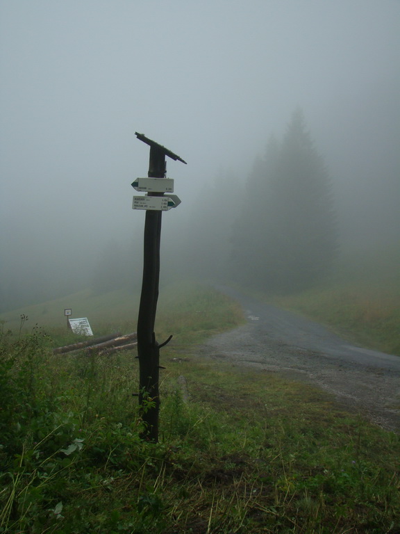 Z Kriviana na Pusté pole (Nízke Tatry)