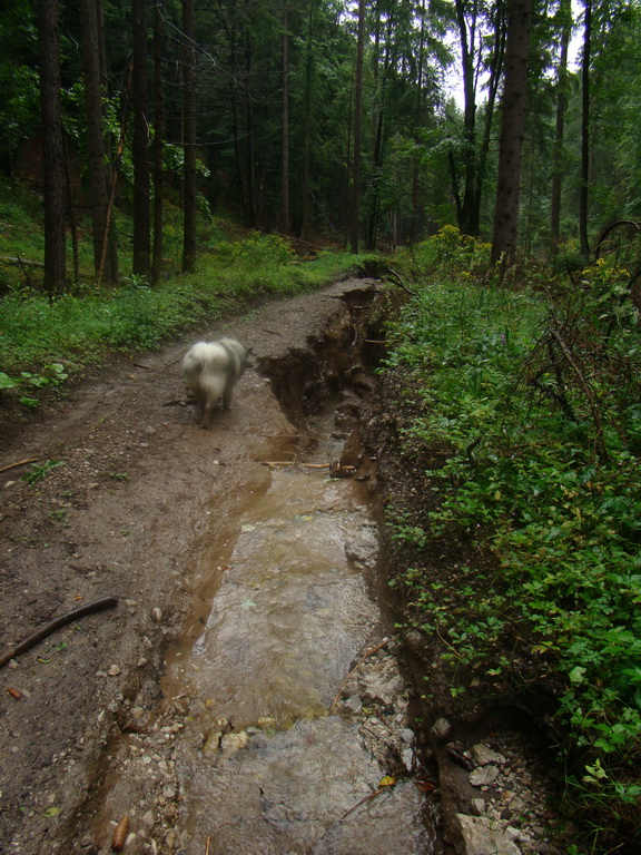 Z Kriviana na Pusté pole (Nízke Tatry)