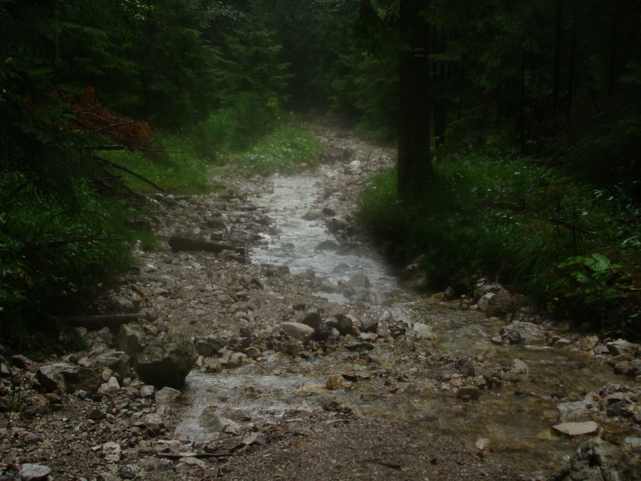 Z Kriviana na Pusté pole (Nízke Tatry)