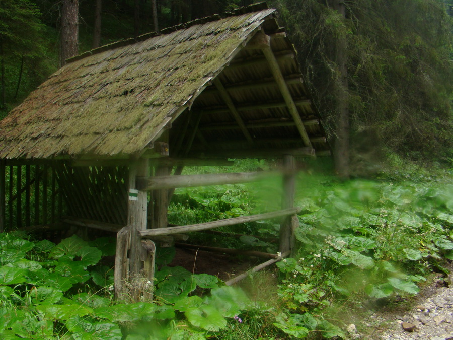 Z Kriviana na Pusté pole (Nízke Tatry)