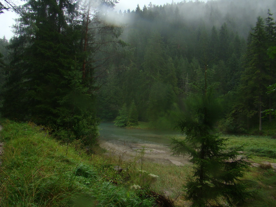 Z Kriviana na Pusté pole (Nízke Tatry)