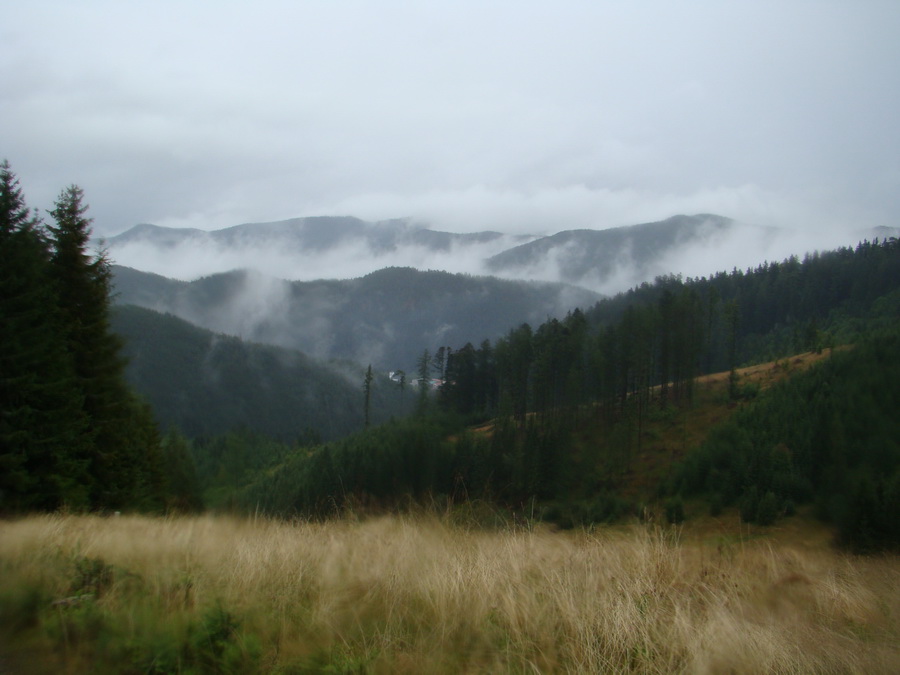 Z Kriviana na Pusté pole (Nízke Tatry)