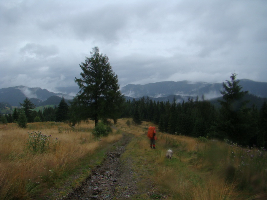 Z Kriviana na Pusté pole (Nízke Tatry)