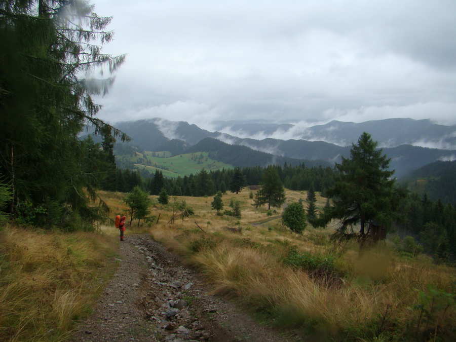 Z Kriviana na Pusté pole (Nízke Tatry)