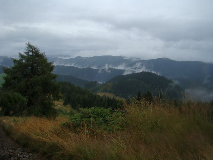 Z Kriviana na Pusté pole (Nízke Tatry)