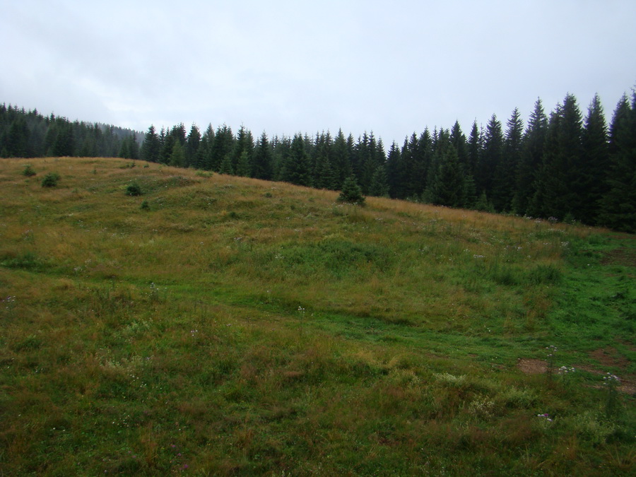 Z Kriviana na Pusté pole (Nízke Tatry)