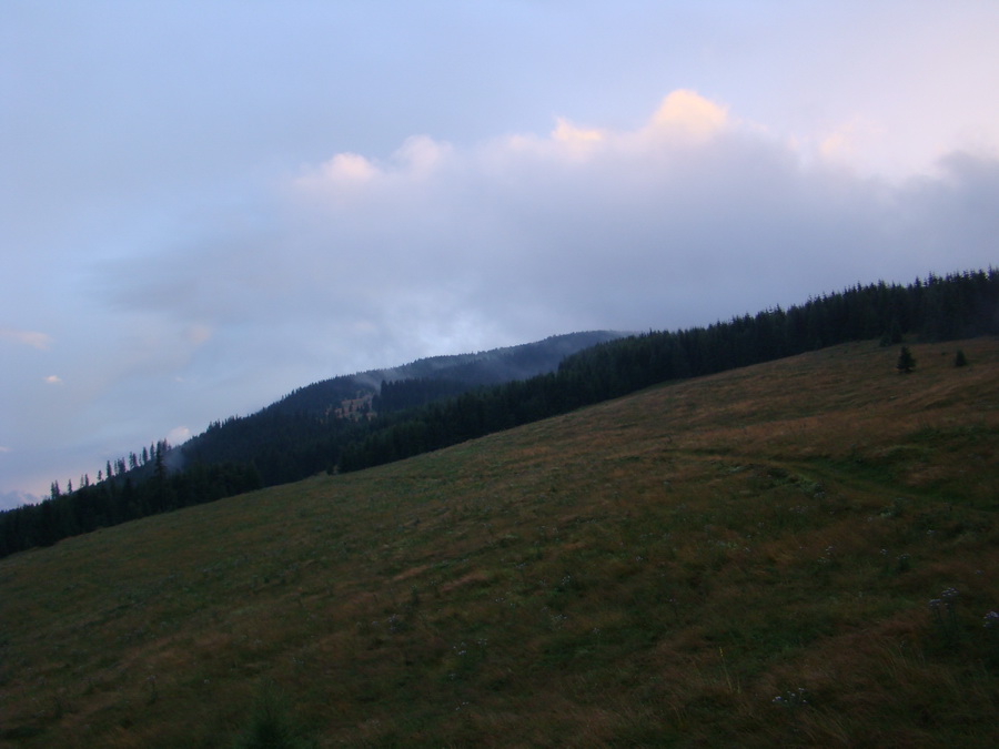 Z Kriviana na Pusté pole (Nízke Tatry)