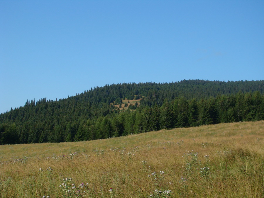 Z Kriviana na Pusté pole (Nízke Tatry)