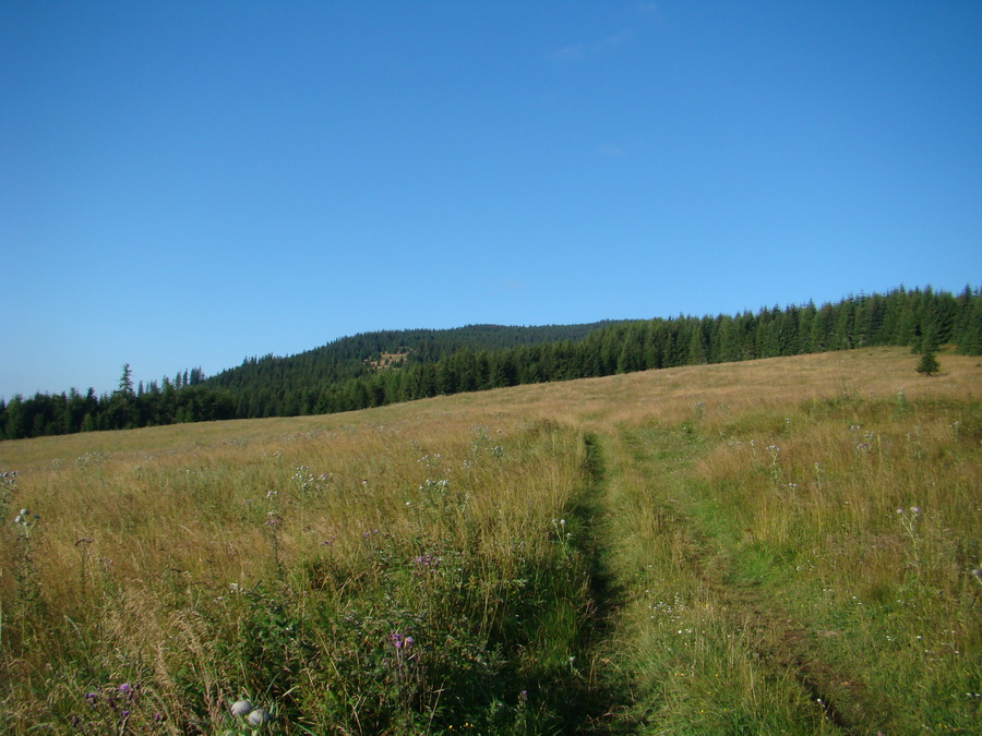 Z Kriviana na Pusté pole (Nízke Tatry)