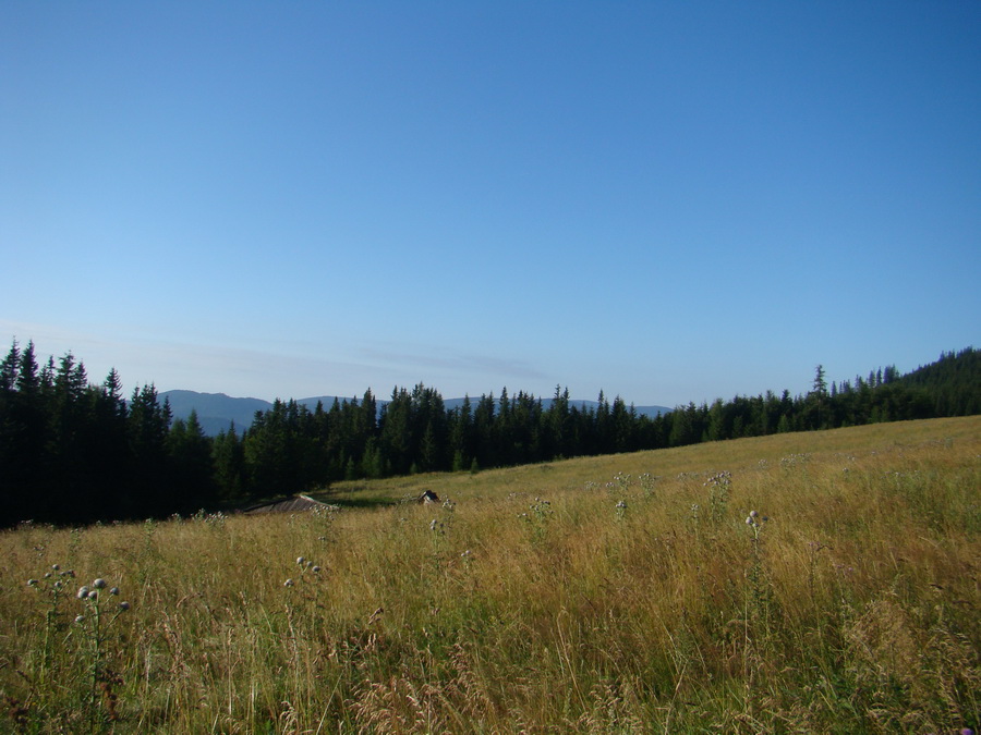 Z Kriviana na Pusté pole (Nízke Tatry)