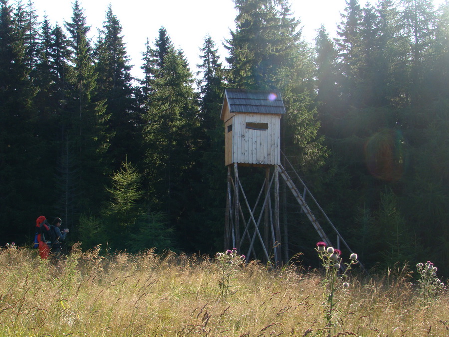 Z Kriviana na Pusté pole (Nízke Tatry)