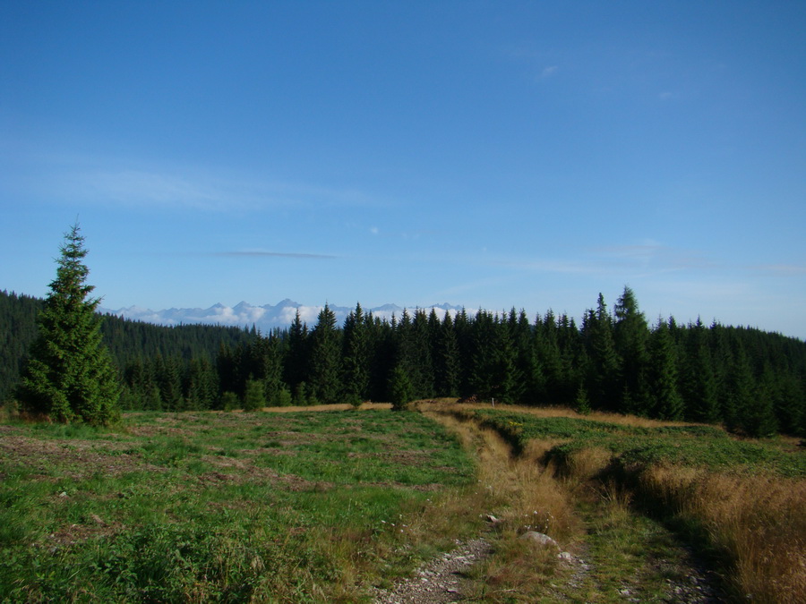 Z Kriviana na Pusté pole (Nízke Tatry)