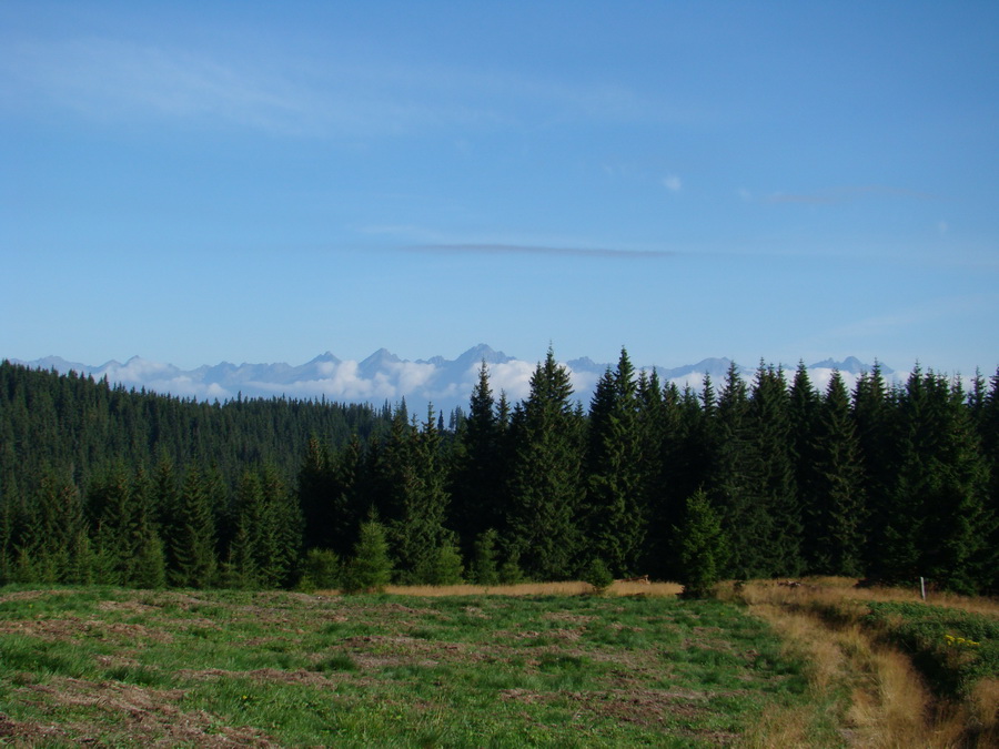 Z Kriviana na Pusté pole (Nízke Tatry)