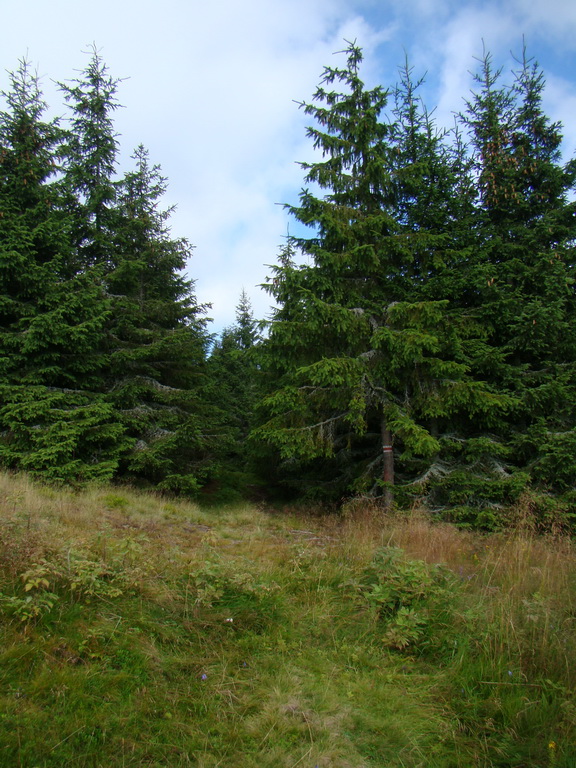 Z Kriviana na Pusté pole (Nízke Tatry)