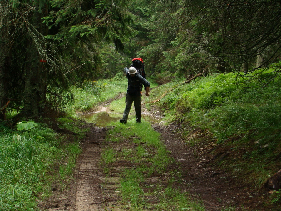 Z Kriviana na Pusté pole (Nízke Tatry)