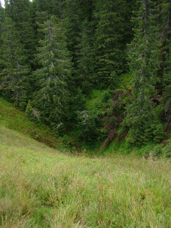 Z Kriviana na Pusté pole (Nízke Tatry)