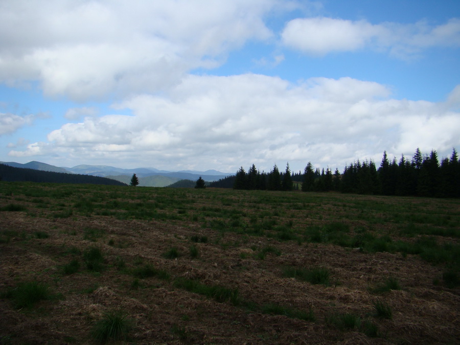 Z Kriviana na Pusté pole (Nízke Tatry)