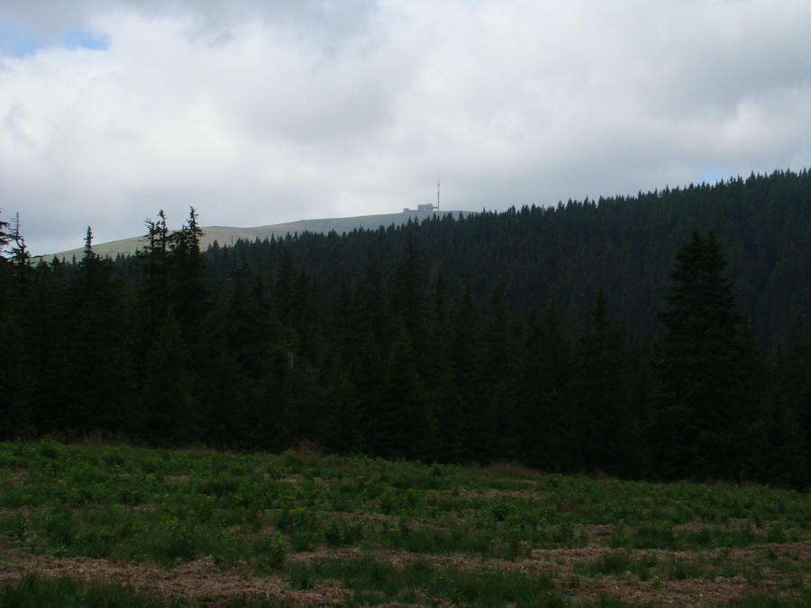 Z Kriviana na Pusté pole (Nízke Tatry)