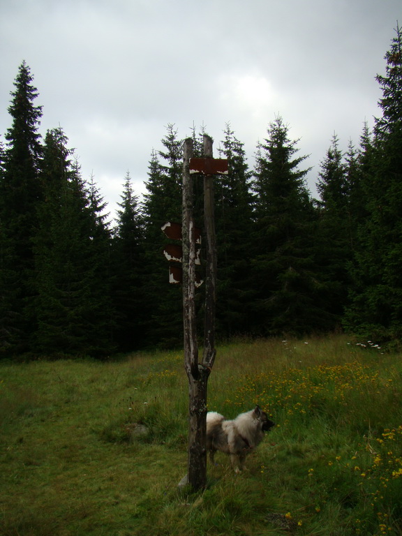 Z Kriviana na Pusté pole (Nízke Tatry)