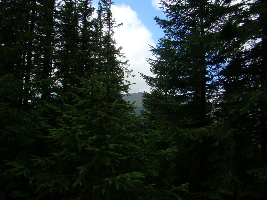 Z Kriviana na Pusté pole (Nízke Tatry)