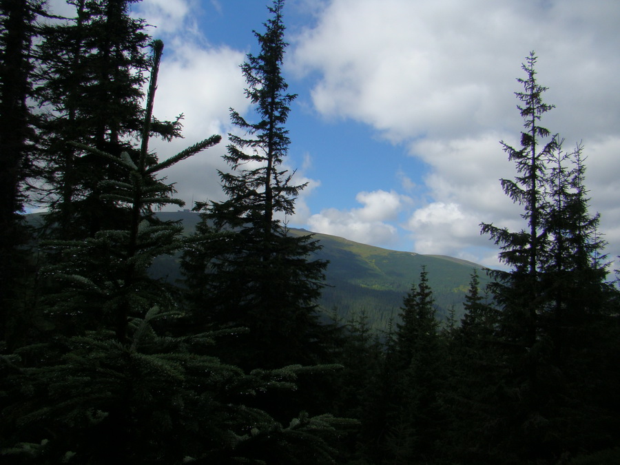 Z Kriviana na Pusté pole (Nízke Tatry)