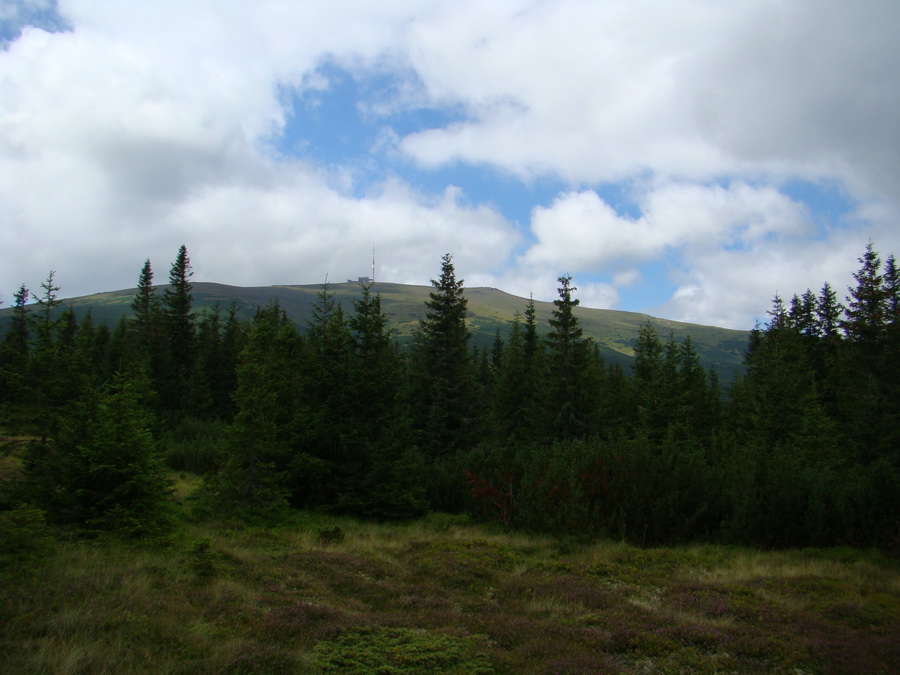 Z Kriviana na Pusté pole (Nízke Tatry)