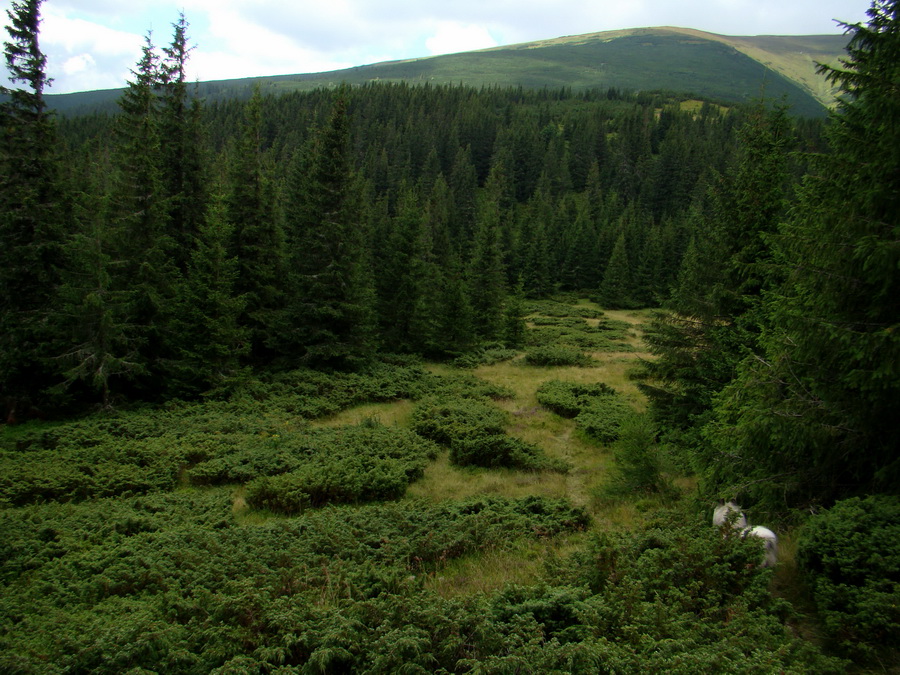 Z Kriviana na Pusté pole (Nízke Tatry)