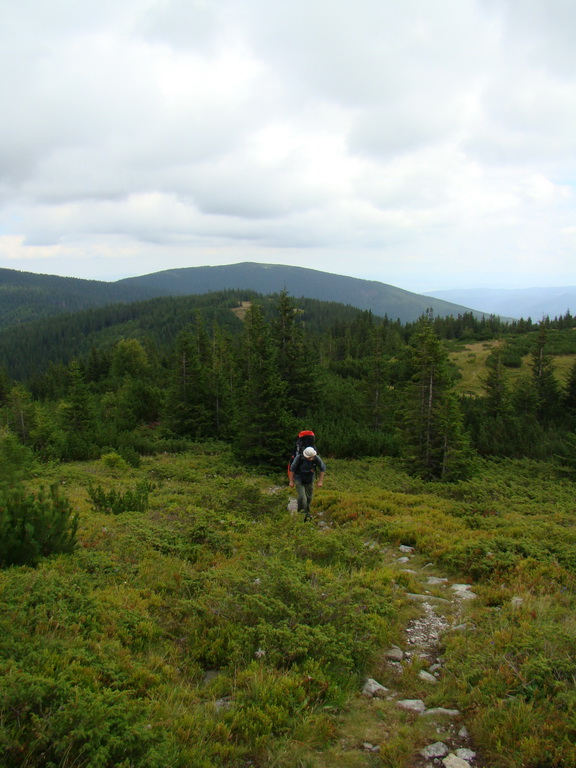 Z Kriviana na Pusté pole (Nízke Tatry)