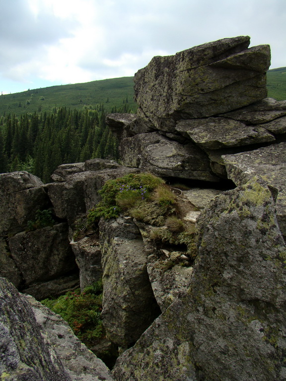 Z Kriviana na Pusté pole (Nízke Tatry)