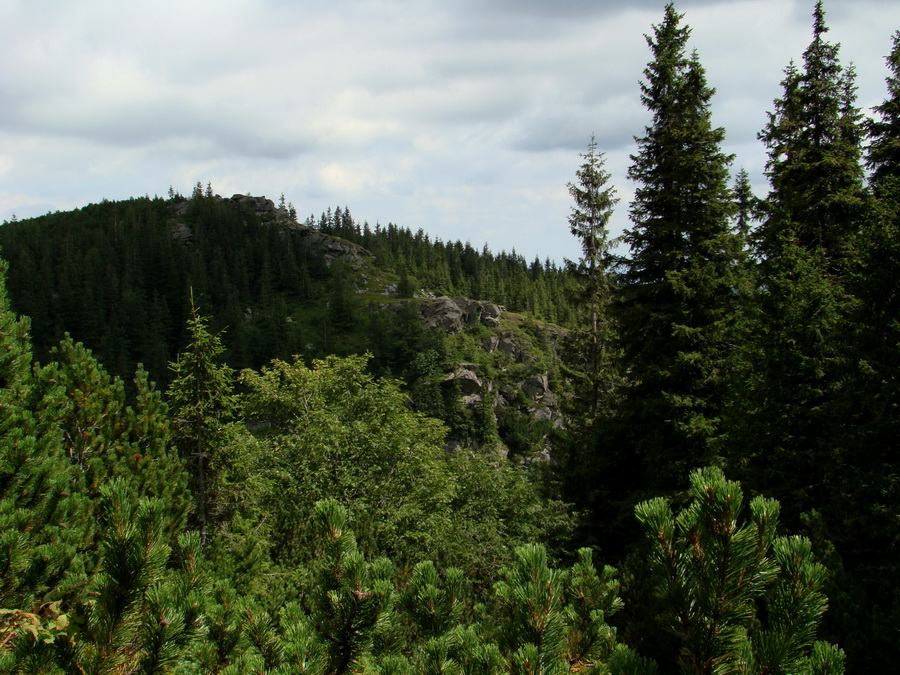 Z Kriviana na Pusté pole (Nízke Tatry)