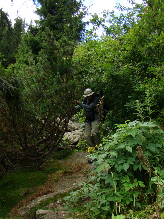 Z Kriviana na Pusté pole (Nízke Tatry)