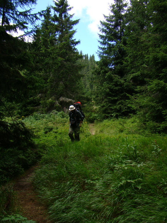 Z Kriviana na Pusté pole (Nízke Tatry)