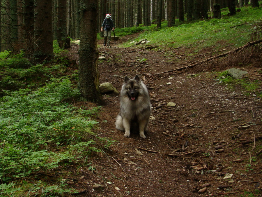 Z Kriviana na Pusté pole (Nízke Tatry)