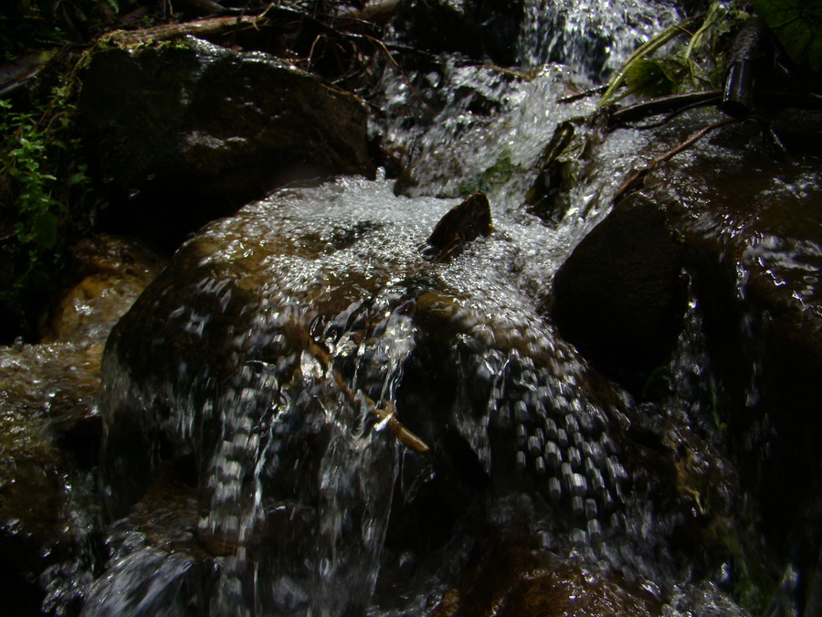 Z Kriviana na Pusté pole (Nízke Tatry)