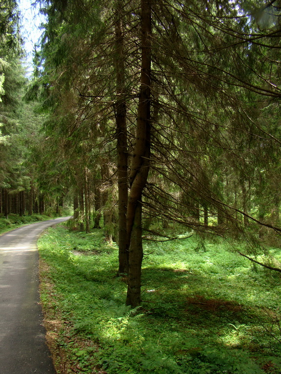 Z Kriviana na Pusté pole (Nízke Tatry)