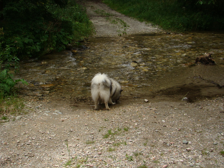 Z Kriviana na Pusté pole (Nízke Tatry)