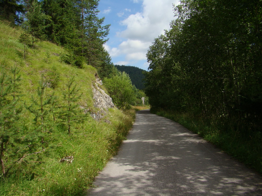 Z Kriviana na Pusté pole (Nízke Tatry)