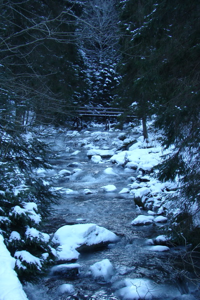 Siná (Nízke Tatry)